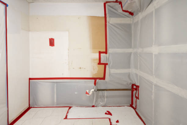 Best Black Mold Removal  in Corona De Tucson, AZ