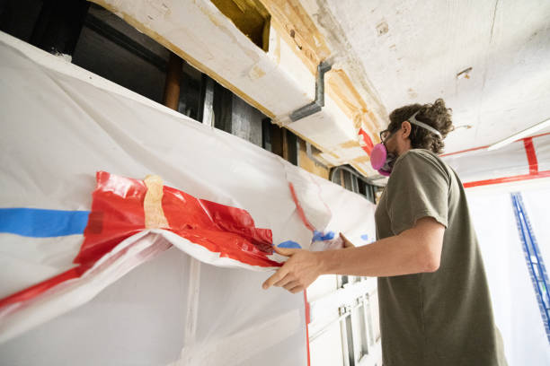 Mold Odor Removal Services in Corona De Tucson, AZ