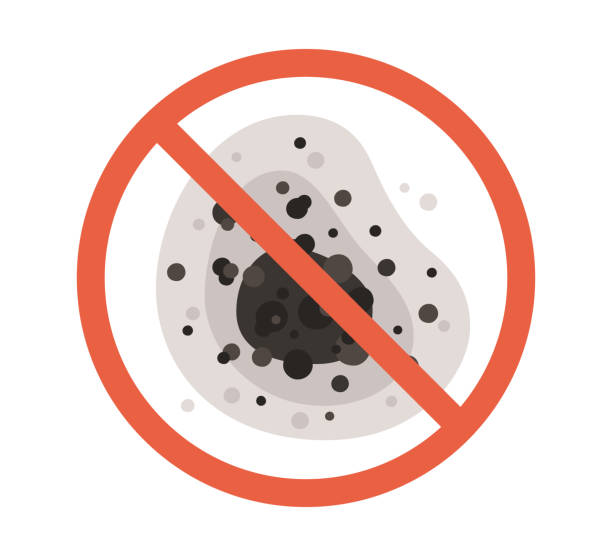 Best Air Quality Testing for Mold Spores  in Corona De Tucson, AZ