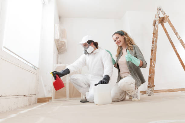 Best Commercial Mold Inspection  in Corona De Tucson, AZ