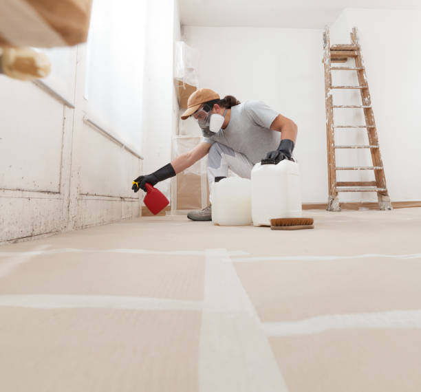 Dehumidification Services in Corona De Tucson, AZ